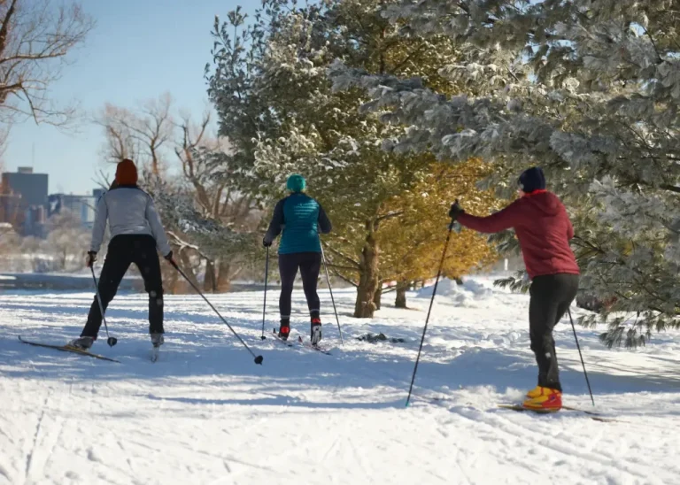 Winter activities in Ottawa this year