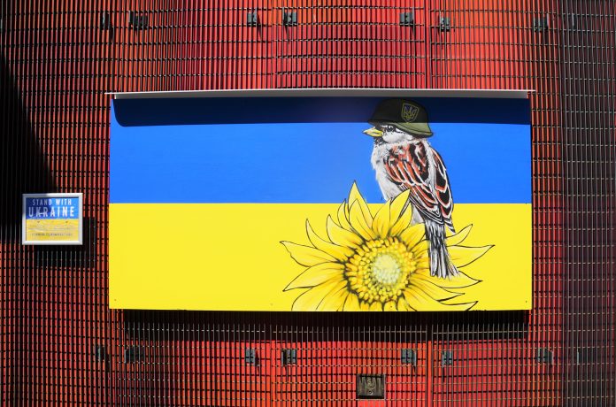 A painting featuring the Ukraine blue and yellow flag with a bird wearing a helmet and sunflower over top of the flag. The painting is against a metal red wall.