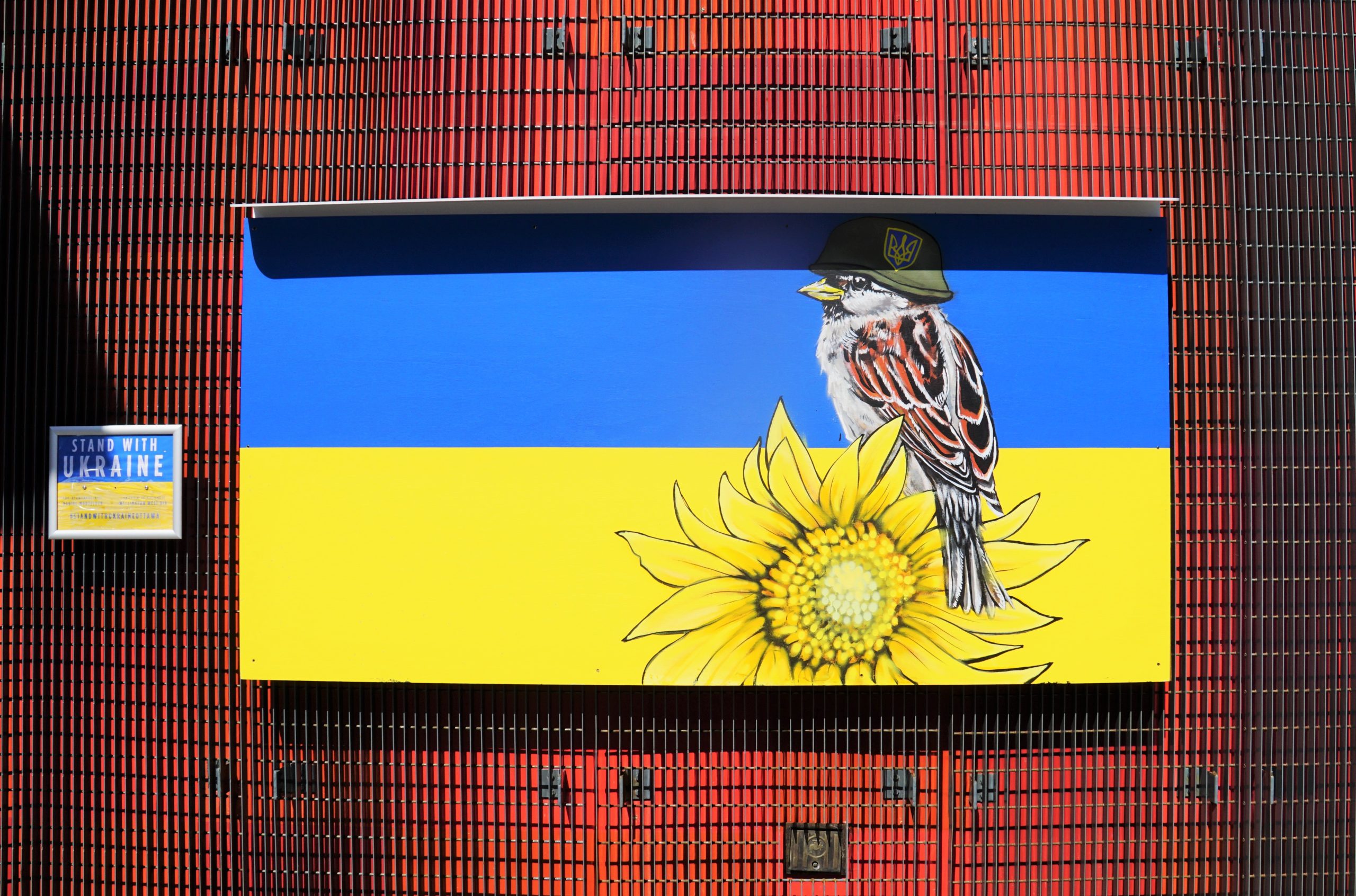 A painting featuring the Ukraine blue and yellow flag with a bird wearing a helmet and sunflower over top of the flag. The painting is against a metal red wall.