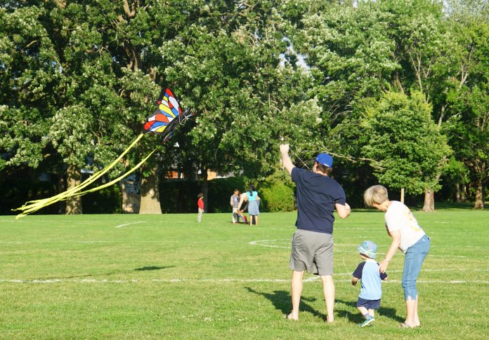 A man wearing a black shirt is flying a kite while a toddler and older woman stand next to him in a park on a sunny day.|