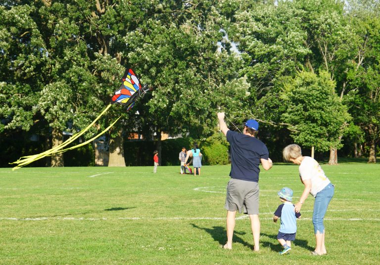 A man wearing a black shirt is flying a kite while a toddler and older woman stand next to him in a park on a sunny day.|