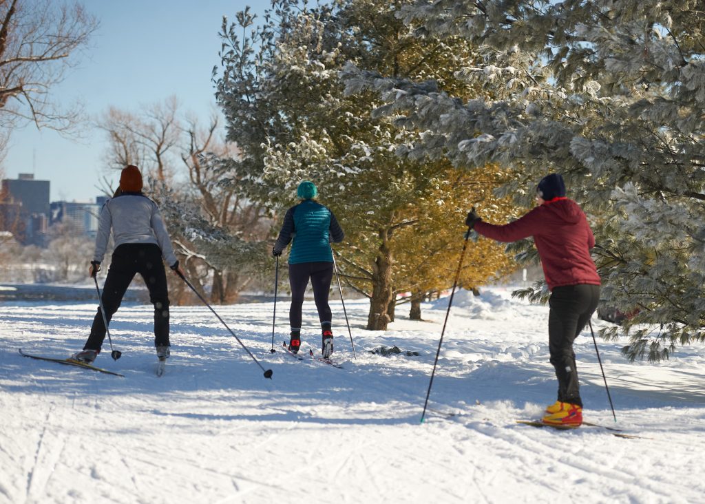 Three skiers are seen close up along the SJAM trail on a sunny day surrounded by trees