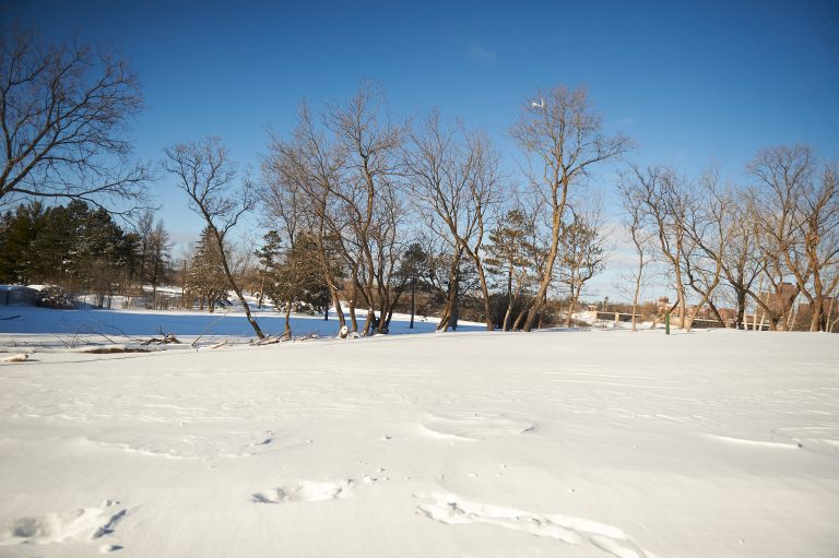 An empty snow-covered field in Mechanicsville on a sunny day.|Handmade signs are seen along a metal fence in Mechanicsville on a sunny day in winter. The signs are mostly cut out white and red hearts.