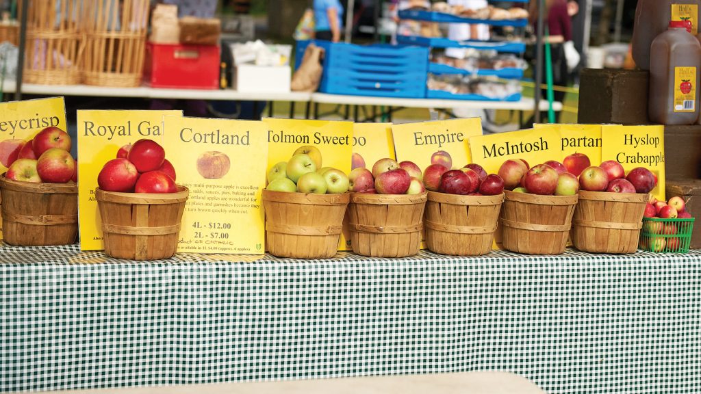 A photo of apples at Hall's market in Westboro.