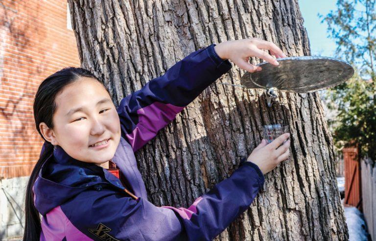 A young woman wearing purple holds up a shot class next to a maple tree syrup tap on a sunny day in Westboro|Two women make maple syrup on a doorstep of a wooden log house in Westboro|Two women make maple syrup on a doorstep of a wooden log house in Westboro