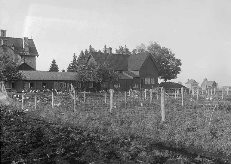 A black and white photo from the early 20th century showing a house and a farm in with chickens in Hintonburg.||