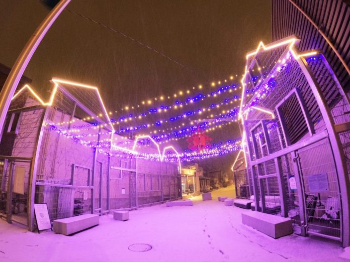 Lights are strung across two buildings in Westboro while the snow falls.|Multi-coloured lights are seen close up in Kitchissippi.|A red