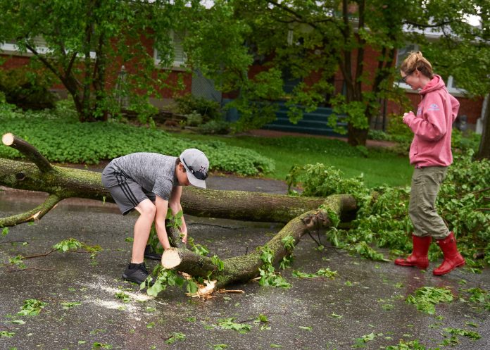 A child and young woman attempt to lift a fallen tree off the road.|A group of people try to move a fallen tree of the road.|Red maple trees are seen on the ground after a storm in Ottawa.|Wires and metal are seen on the ground following a storm. There are bushes in the background and rain puddles in the foreground.|