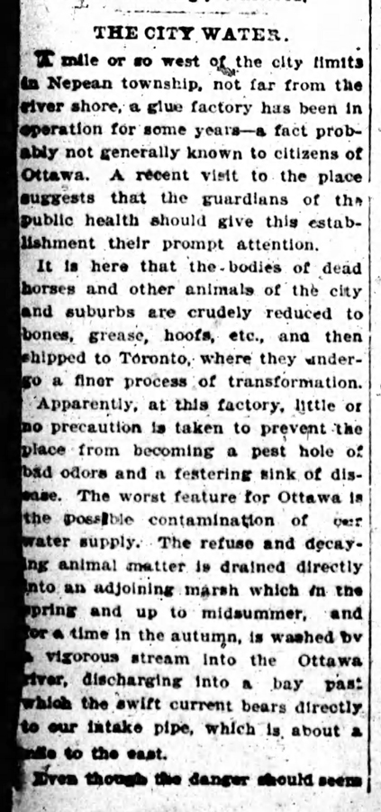 A black and white scanned photo of an article in the Ottawa Citizen in 1900 on the concerns about the local slaughterhouse.