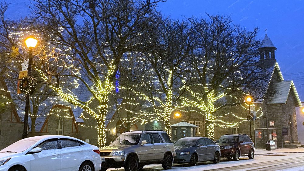 A street in Westboro has trees lit up while the snow falls.