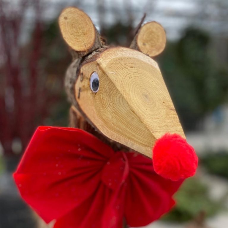 A wooden deer with a red nose stands at Parkdale Market.|Christmas trees are lined up at Parkdale Market.