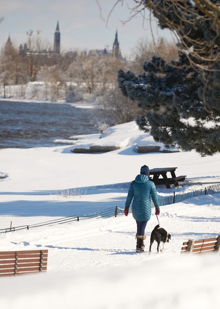 A woman walks with a dog on the SJAM trail on a sunny day