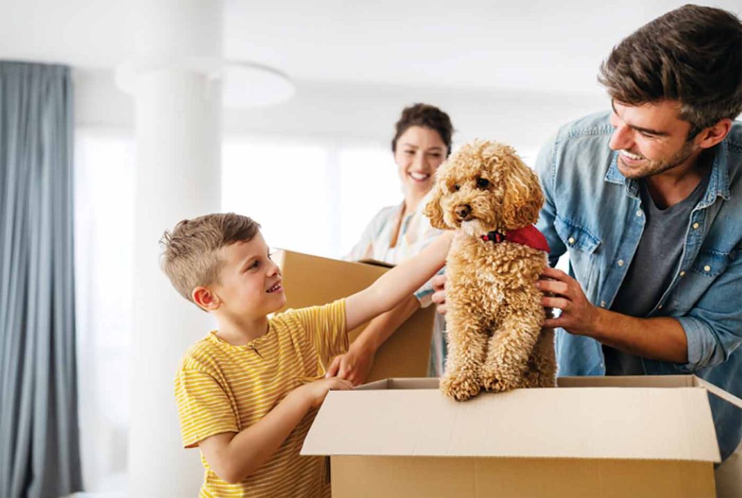 A middle aged man holds a small dog on top of a cardboard moving box next to a young boy.