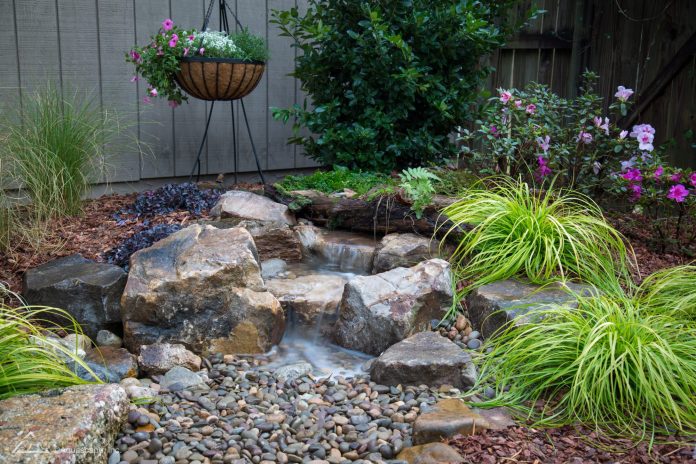 A small waterfalll is seen in a rockgarden in a home backyard in Ottawa||A bright plant container is seen on a pool deck|Two green hanging plants are seen in an outdoor container|