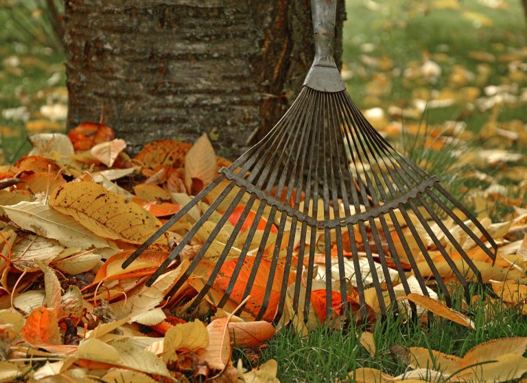 A rake picks up colourful fall leaves with a tree behind||A faucet outside a house with green siding and cement