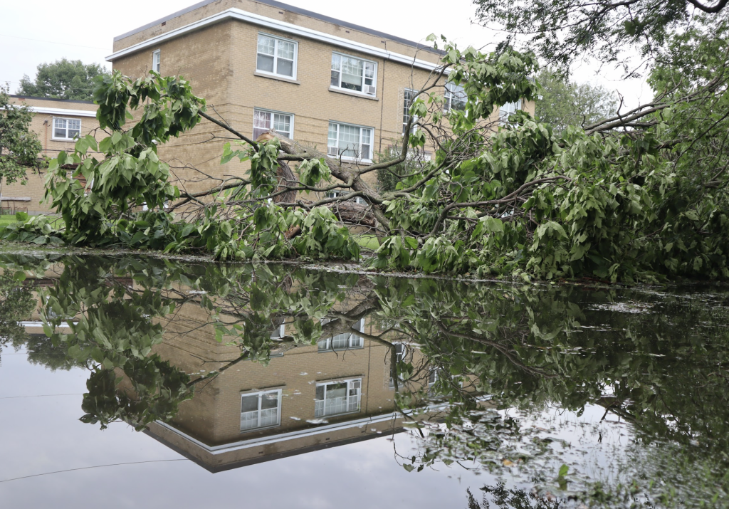 A fallen tree and a large puddle of water outside of apartments. 