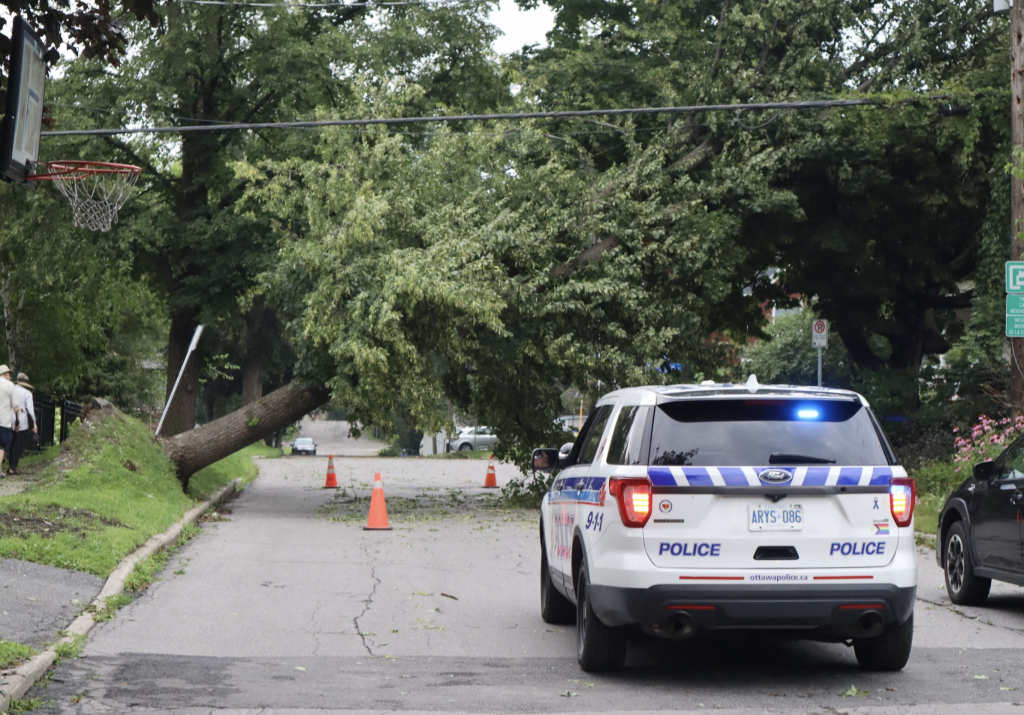 A tree blocks Keenan avenue. A police cruiser is on the side of the road. 