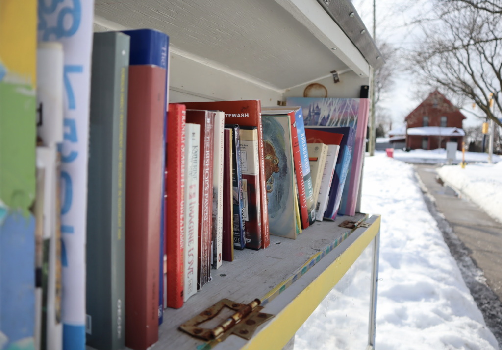 An opened little library box showing multiple books inside.