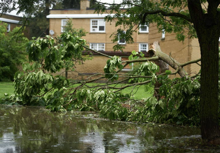 How to check your home for storm damage