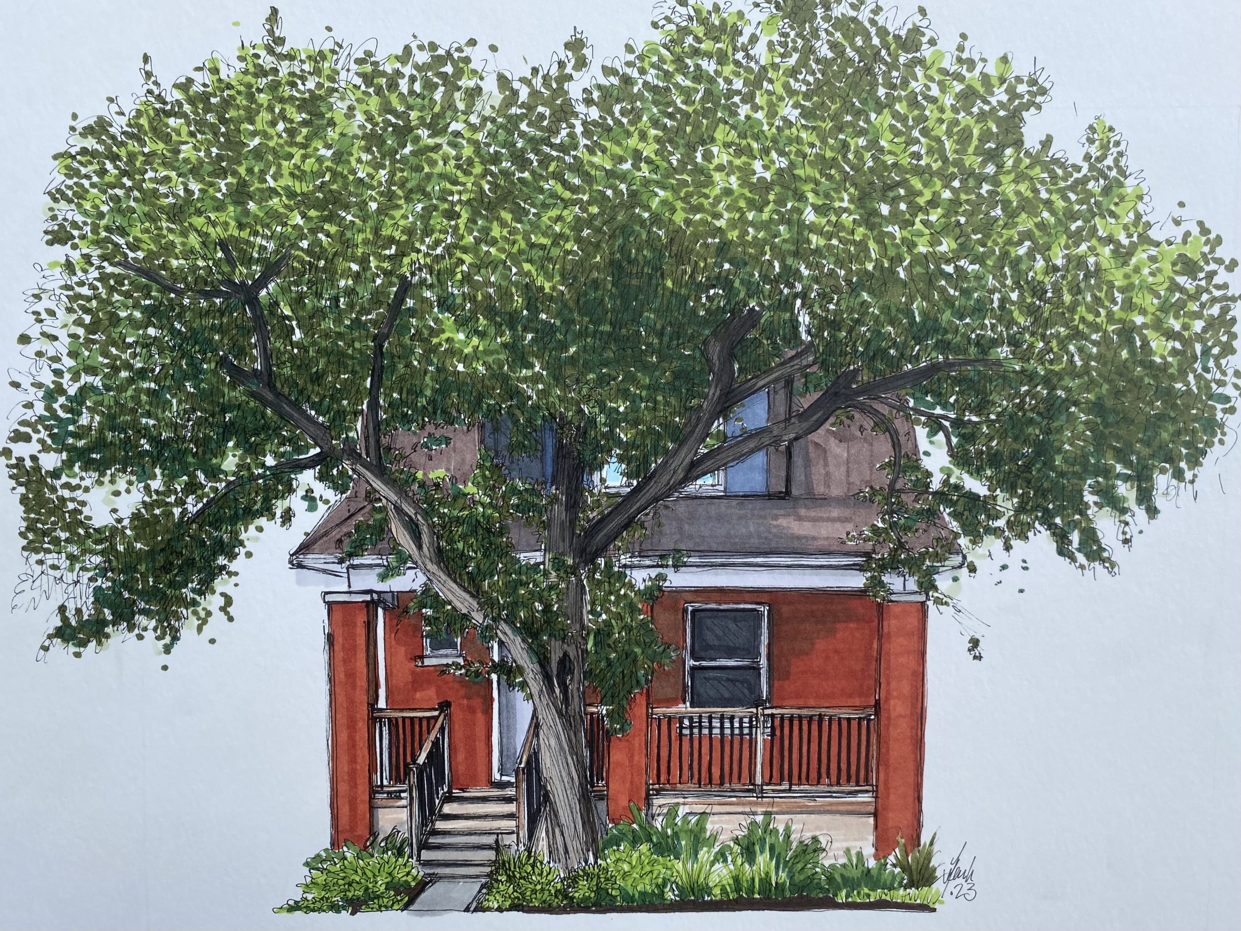 The drawing of a house with a large tree out front in the middle. 