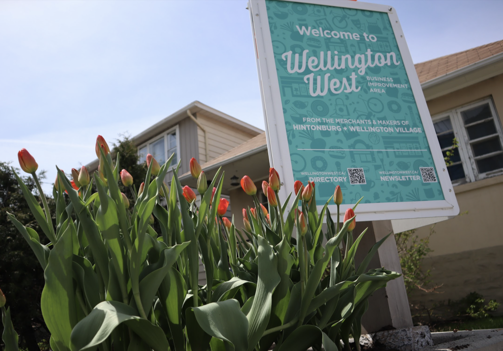 A blue and white sign advertising the Wellington West BIA. Tulips in a nearby flower pot are starting to bloom.