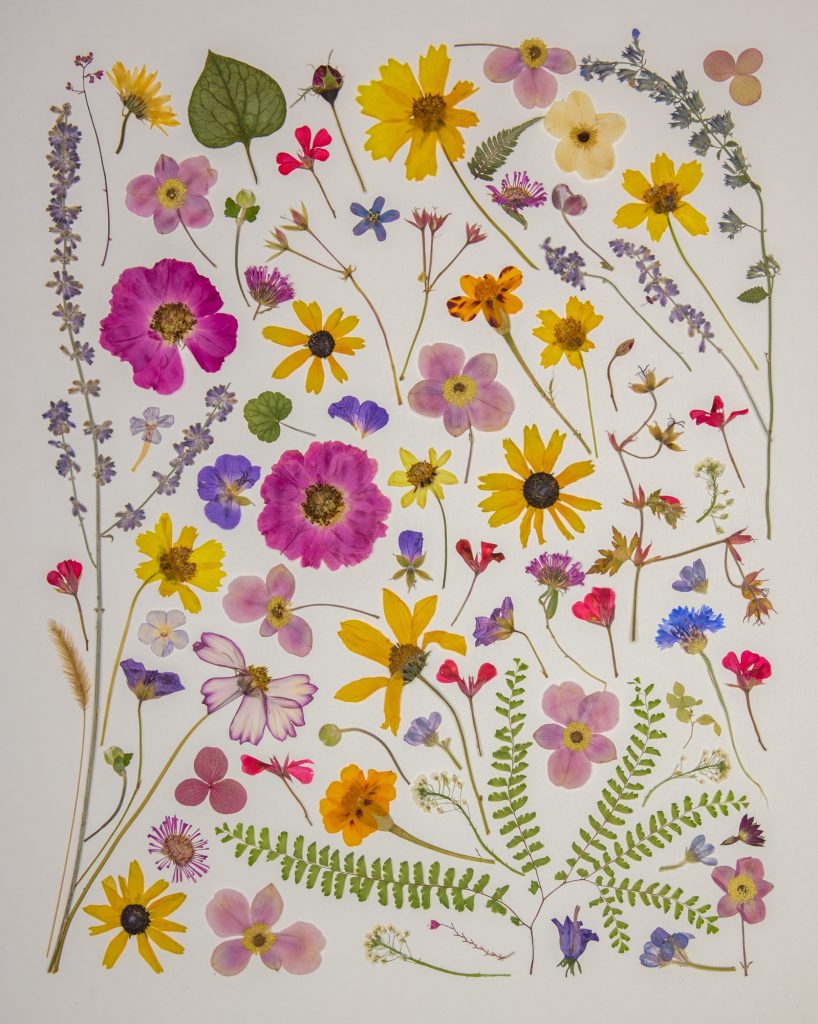 A colourful print showing many different flowers.  