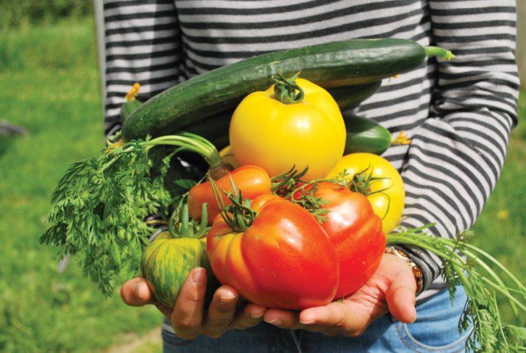 Someone holds a pile of brightly coloured vegetables in a close up stock image