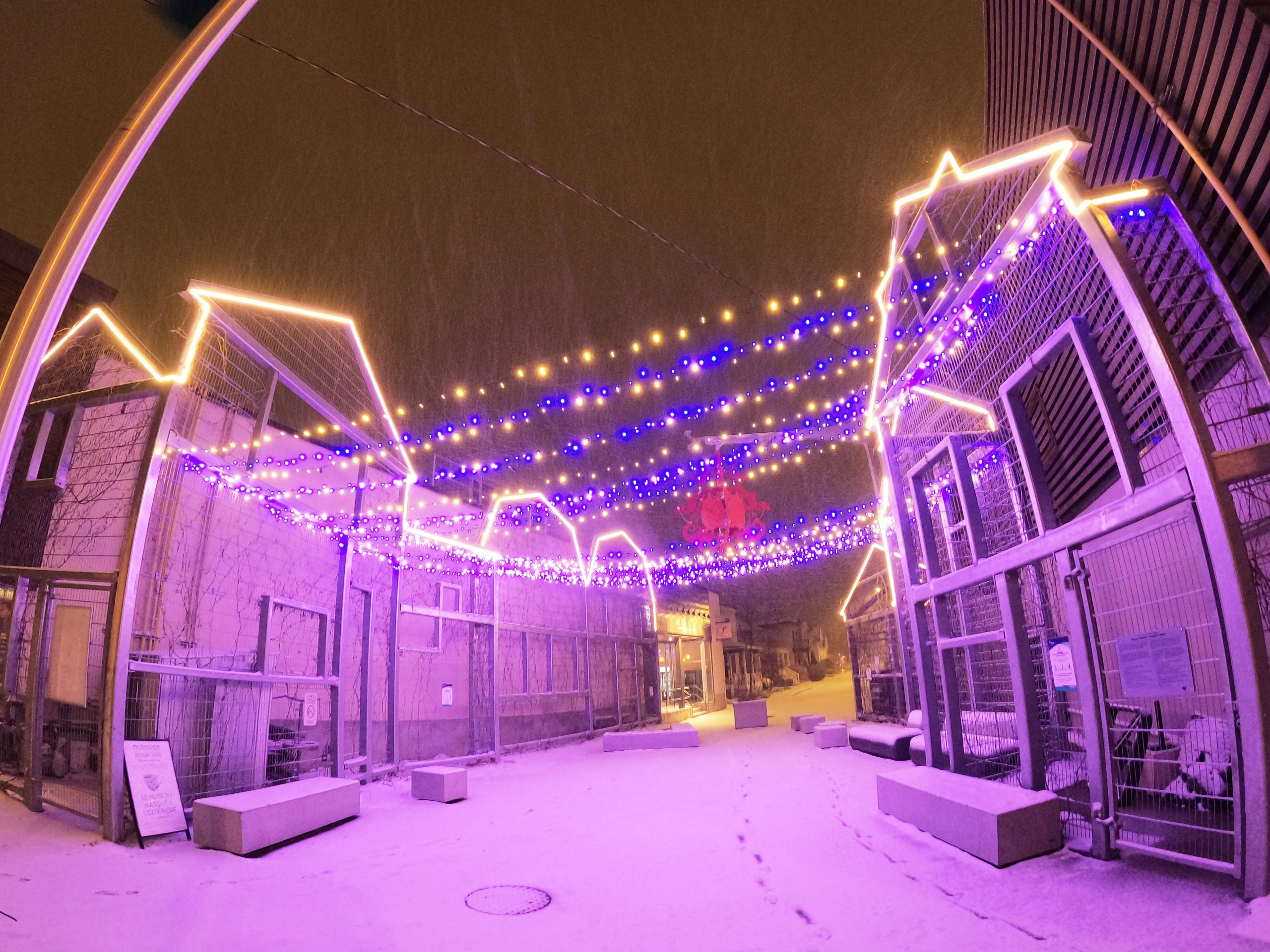 Blue and white lights hang in Winston Square. 