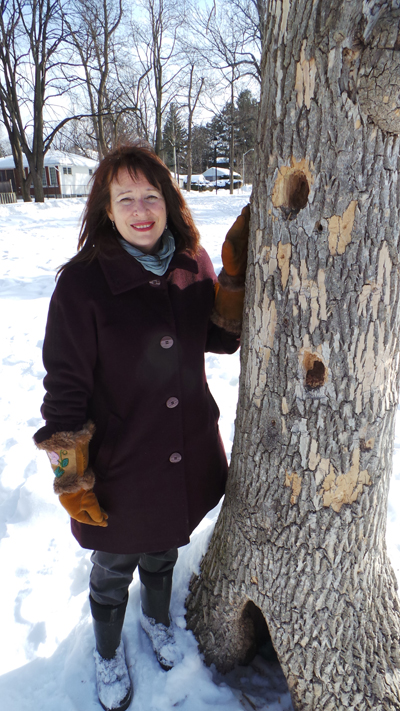 Deb Chapman is concerned about the fate of the trees at Clare Gardens Park in Westboro. Photo by Andrea Tomkins