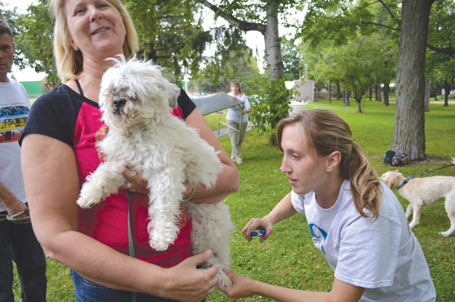 Pedicures in the Park raises money for charities that support rescue organizations and veterinarians. 