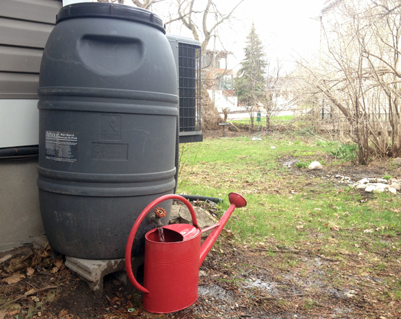 web-rainbarrel