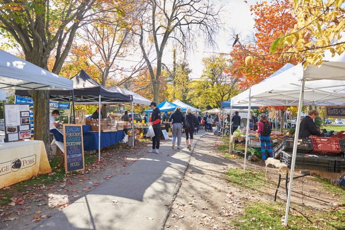 ||Heather Cudmore: “I love coming to the market because it’s a great chance to run into neighbours. Also