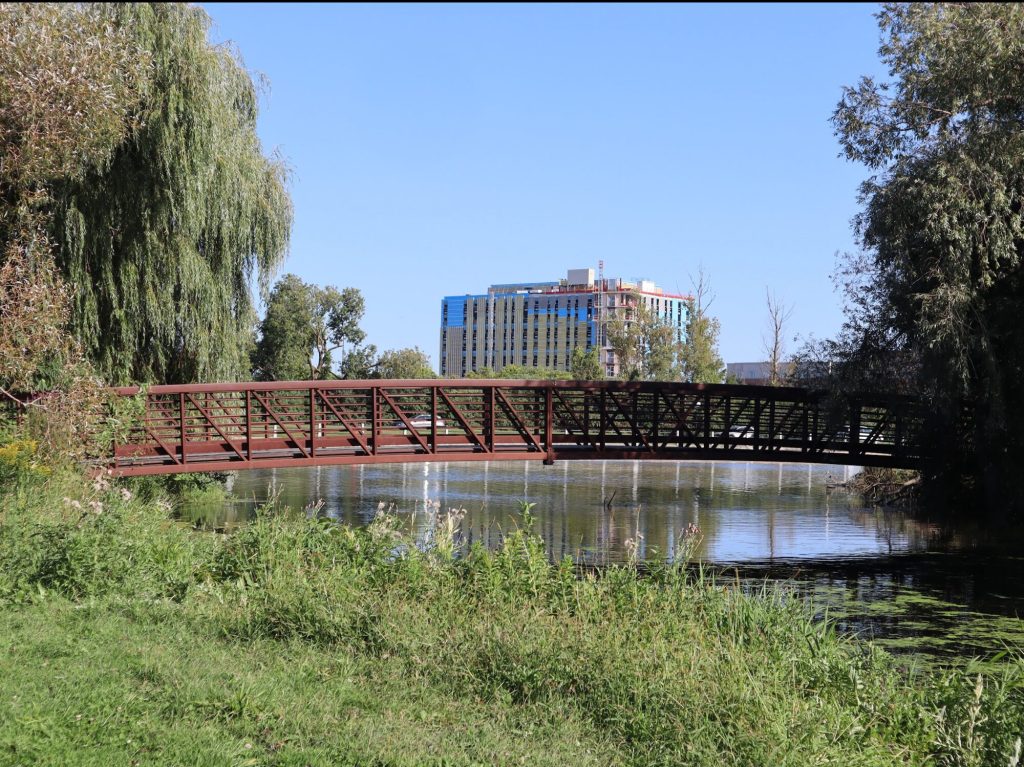 A bridge goes over a small pond. Carleton University is seen in the distance.