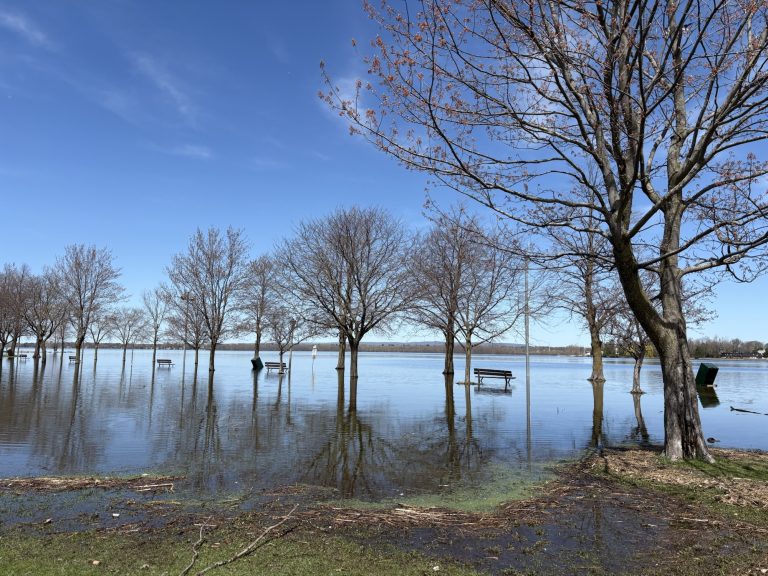 Britannia and Belltown communities brace for possible flooding