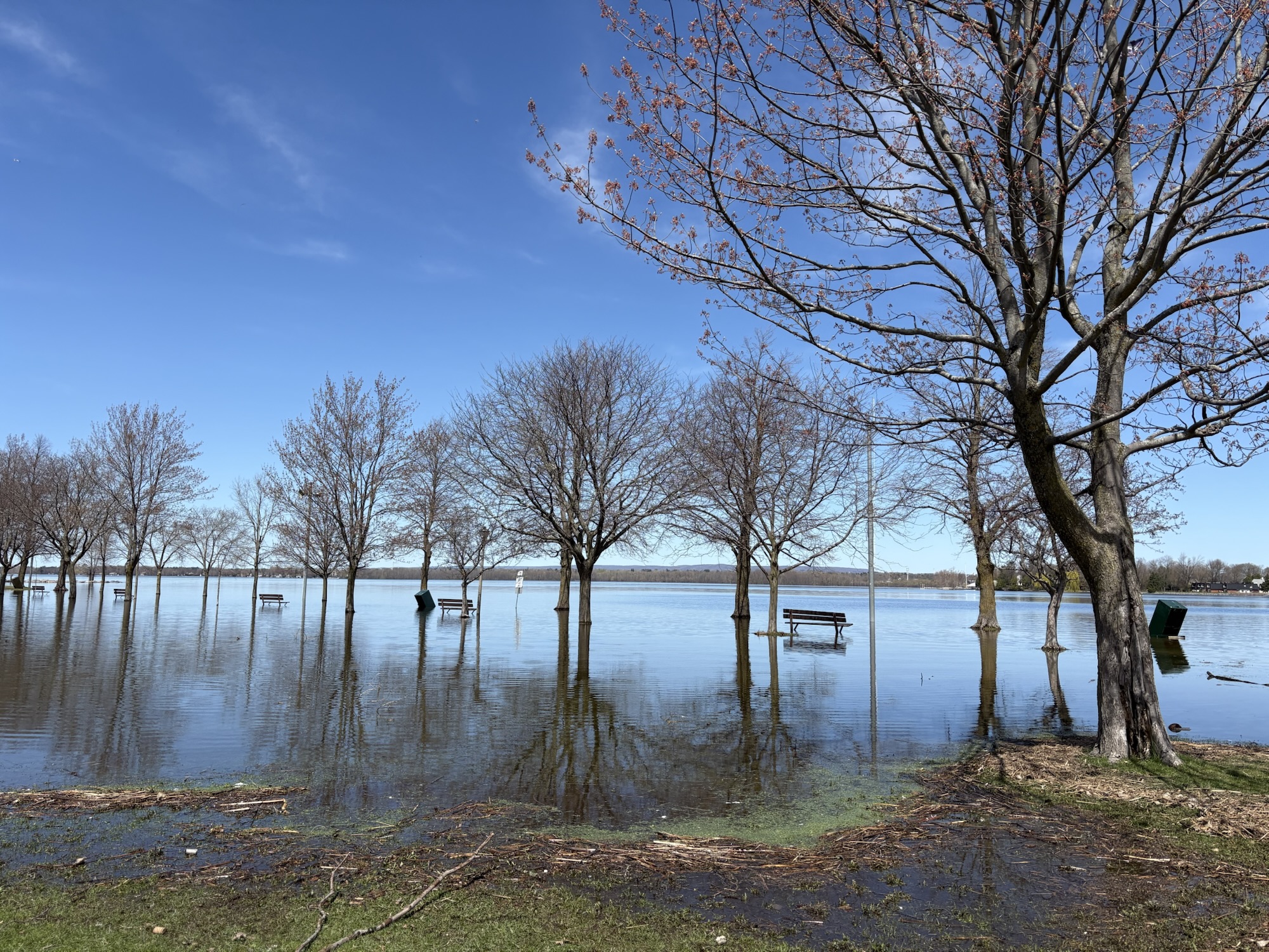 Britannia and Belltown communities brace for possible flooding